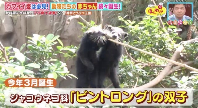 カワイイ姿がSNSで話題に…！人気の動物園・水族館のウラ側