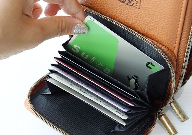 猫のダヤン スマホショルダーバッグ ムック本 ムック 付録 人気 おすすめ オススメ 宝島社 宝島 レビュー 便利 優秀 当たり 最高 2023 猫のダヤン スマホショルダーバッグ カードケース じゃばら式 蛇腹式 カード入れ お財布