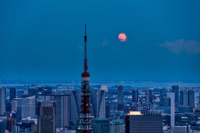 夕陽や星空を楽しめる/画像提供:森ビル株式会社
