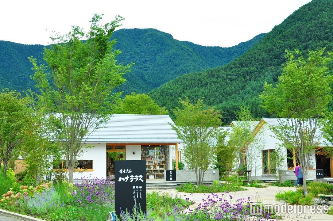 白を基調にしたシンプルで温もりのある建物と、ラベンダーなどの爽やかカラーの花々、青々とした山―。どこもかしこも最高のフォトスポットに（C）モデルプレス