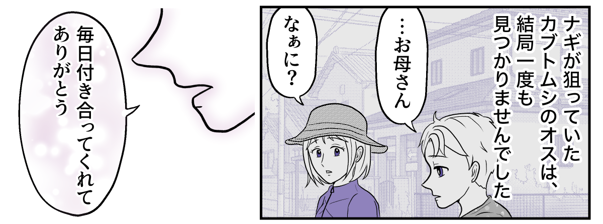 4−2−2