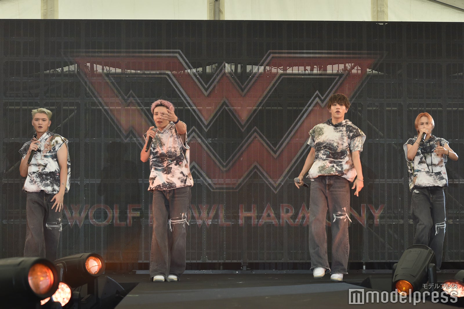 WOLF HOWL HARMONY（C）モデルプレス