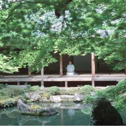 安藤サクラ(C)JR東海