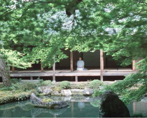 安藤サクラ、「そうだ 京都、行こう。」“旅人”として初の映像出演 癒しを得る京都旅へ