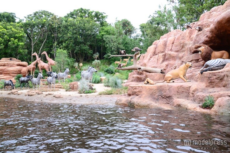 アフリカ大草原／「ジャングルクルーズ：ワイルドライフ・エクスペディション」