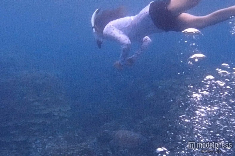 世界中のダイバー憧れの海でシュノーケリング（C)NTV