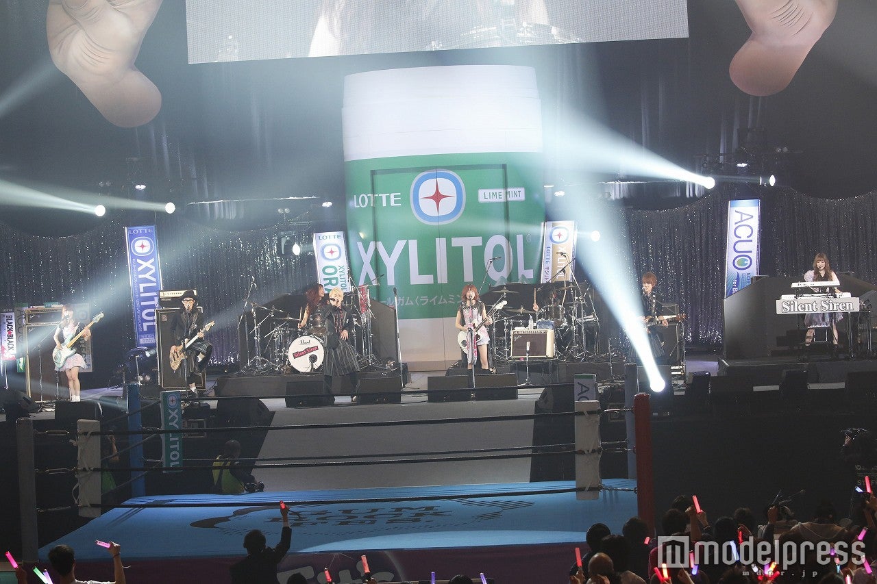 Thinking Dogs＆Silent Siren