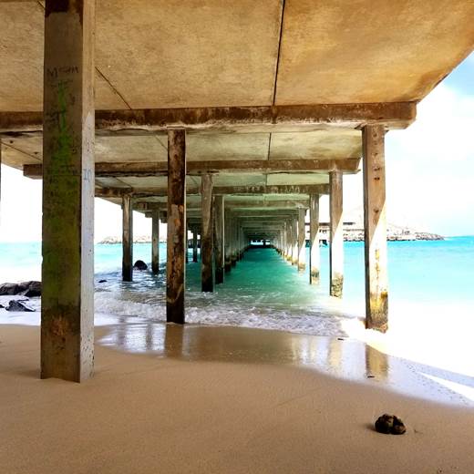 マカイピア(提供画像)