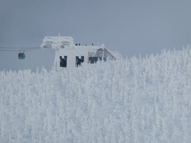 蔵王ロープウェイ山頂線 地蔵山頂駅を見上げる。樹氷の大群の中に駅があることがよく分かります（2024年1月28日撮影）