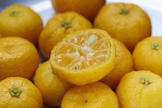 奈良に新スポット誕生！お土産にもぴったりな「水×和×洋のペアリングスイーツ」