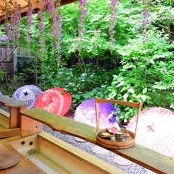 足湯喫茶椿や(提供画像)