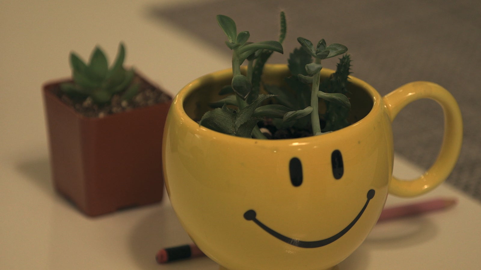 『TERRACE HOUSE ALOHA STATE』29th WEEK（C）フジテレビ／イースト・エンタテインメント