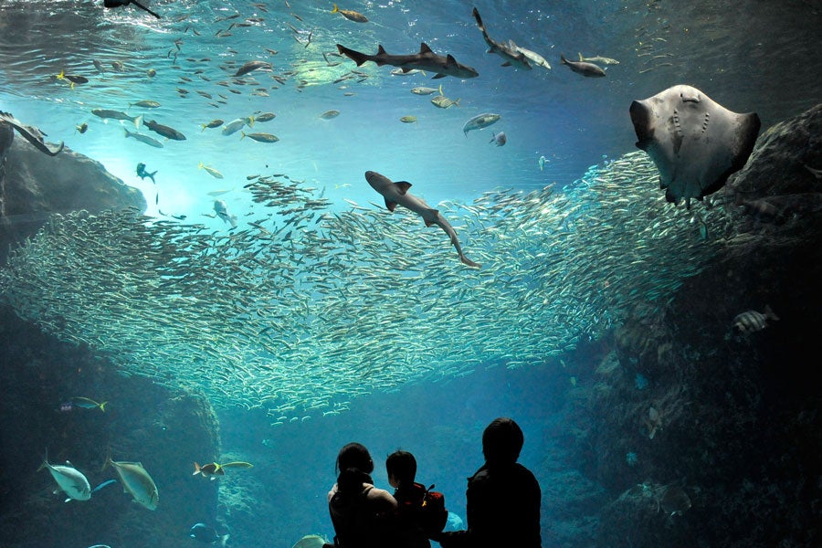 新江ノ島水族館
