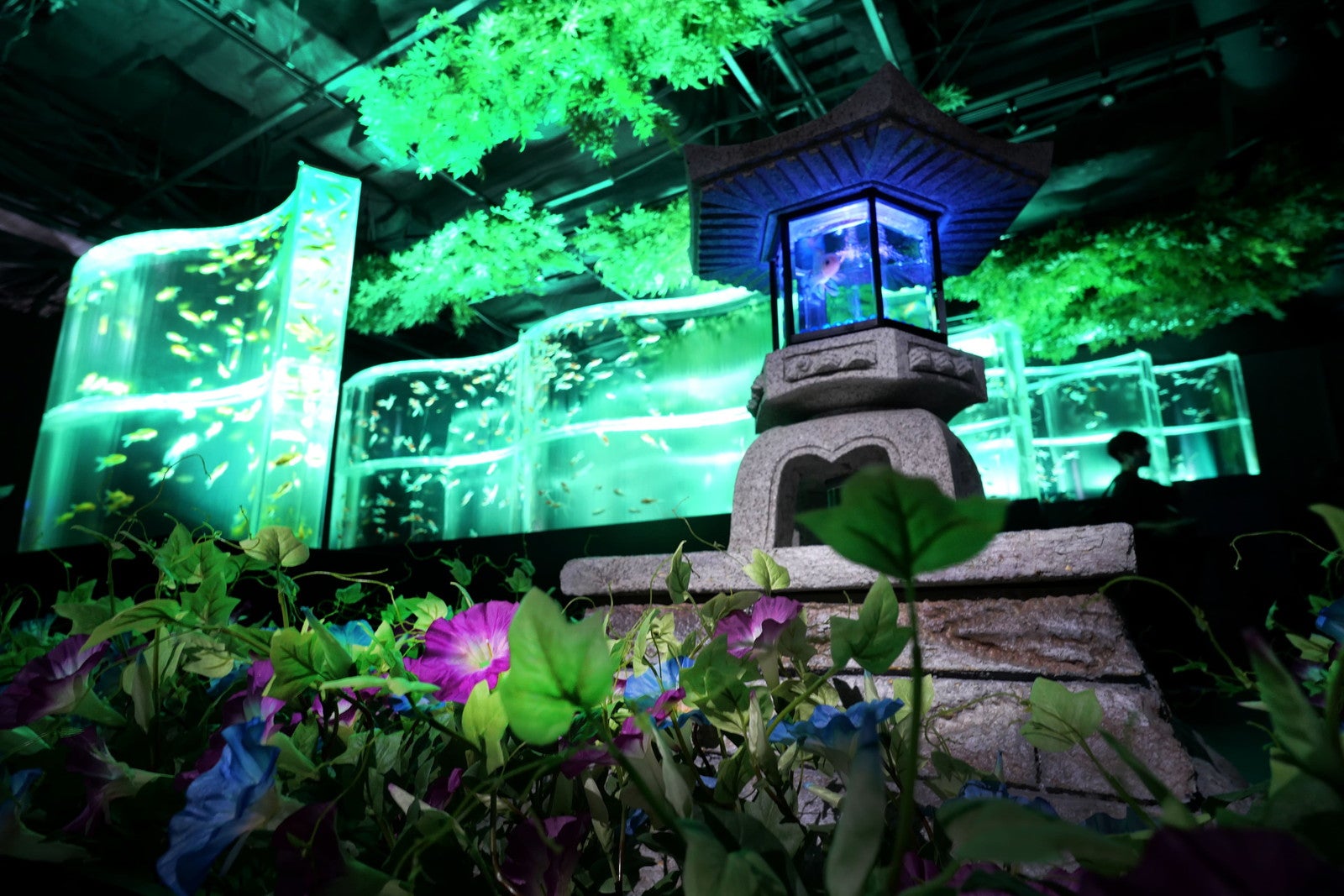 夏のアートアクアリウム2024 華映え金魚祭／提供画像