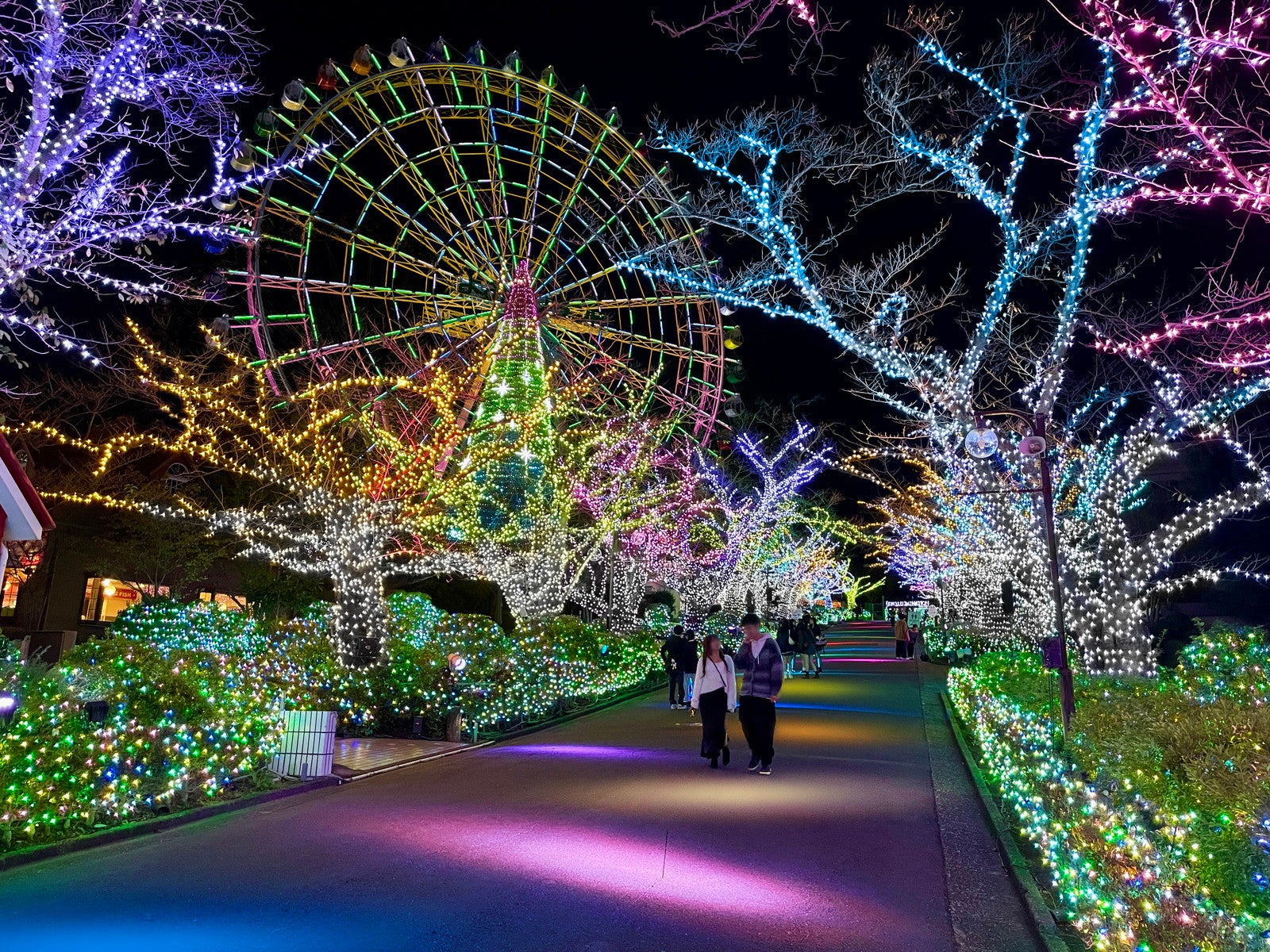 よみうりランド ジュエルミネーション／提供画像