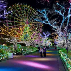 よみうりランド ジュエルミネーション/提供画像