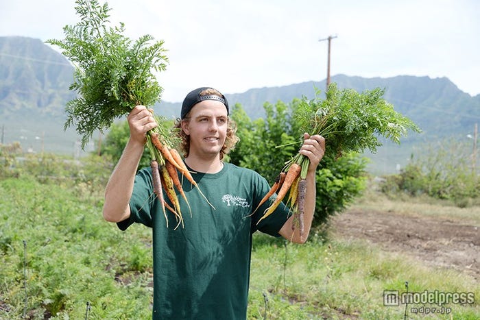 農園のスタッフが畑を案内してくれる