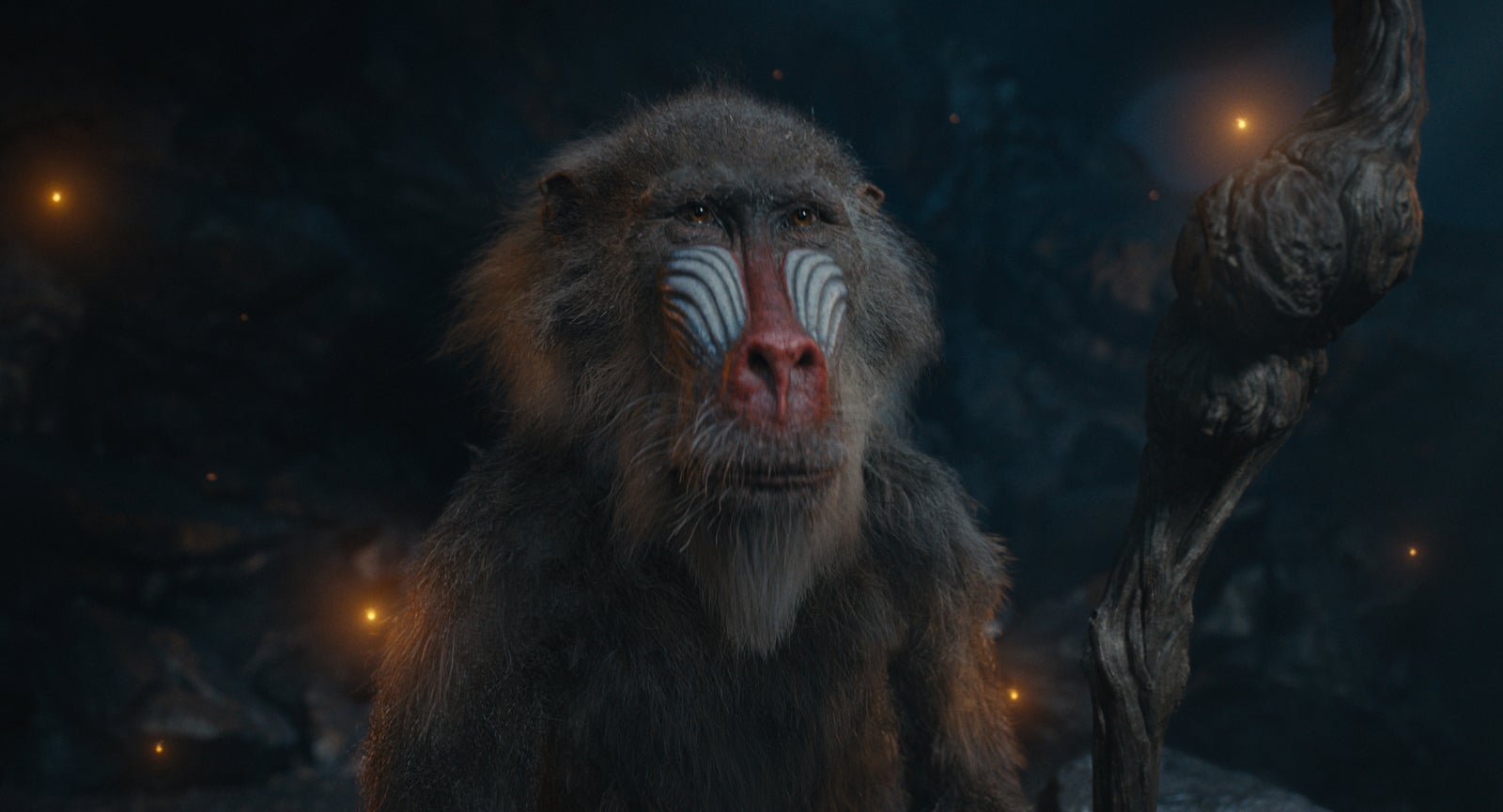 「ライオン・キング：ムファサ」（C）2024 Disney Enterprises, Inc.