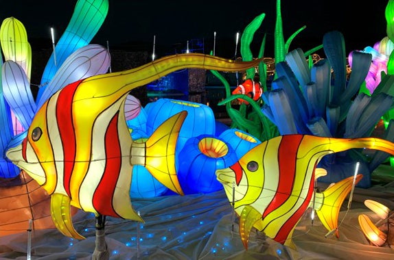 ラグーナ イルミネーション『光のラグーン』／画像提供：ラグーナテンボス