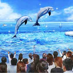 イルカショープール/画像提供:横浜八景島