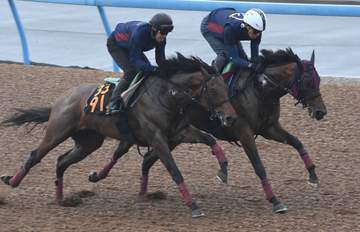 【ヴィクトリアM】エンブロイダリー 併せ馬で僚馬に4馬身差先着 森一師「折り合えるかの確認。マイルを使う上でいい推進力あった」