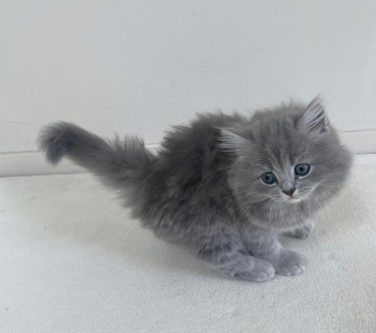 高橋克典オフィシャルブログより