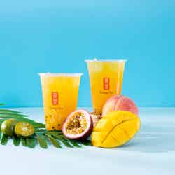 ゴンチャ沖縄限定「シークァーサートロピカルフルーツパーティー」南国果物4種を贅沢に味わう