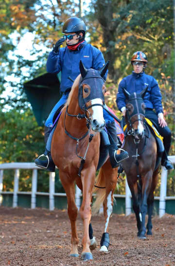 【朝日杯FS】ダイヤモンドノット 開業2年目・福永厩舎G1初Vへ 初マイルも大丈夫「折り合いは心配していません」