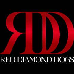RED DIAMOND DOGS（画像提供：avex）