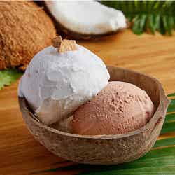 あいぱく KOBE出品メニュー/画像提供:アイスクリーム・ラバー