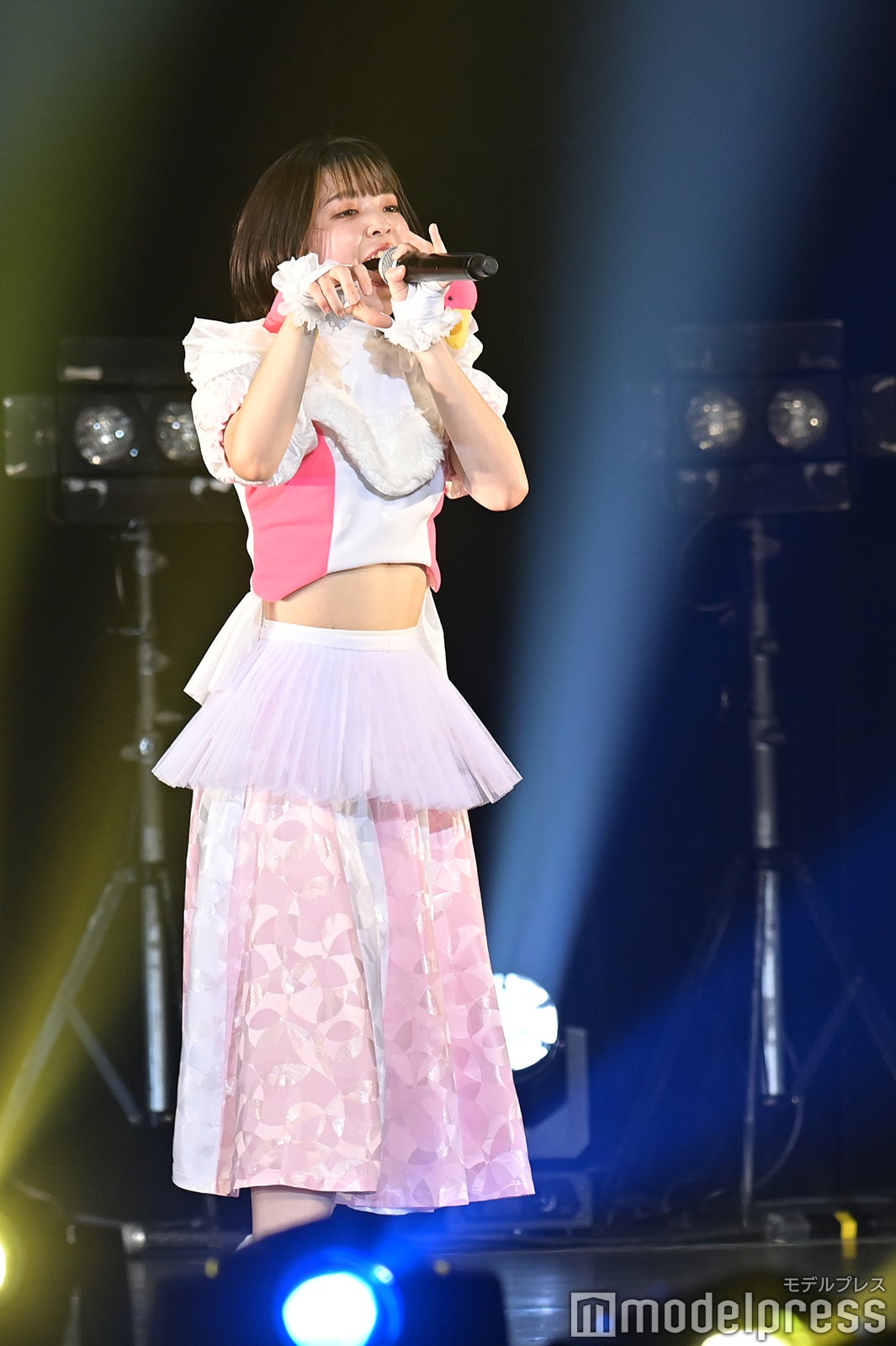 豆柴の大群（C）モデルプレス