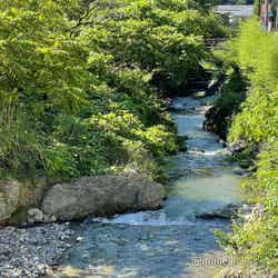 タカオネ周辺の風景(C)モデルプレス