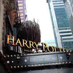 小関裕太（C）2018 Warner Bros. Ent.  All Rights Reserved. Harry Potter and Fantastic Beasts Publishing Rights （C）J.K.R.