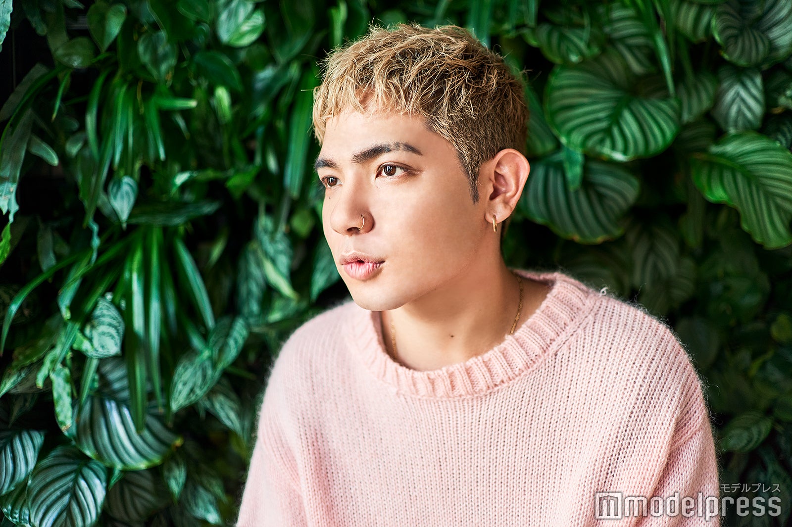 Rude-α（C）モデルプレス