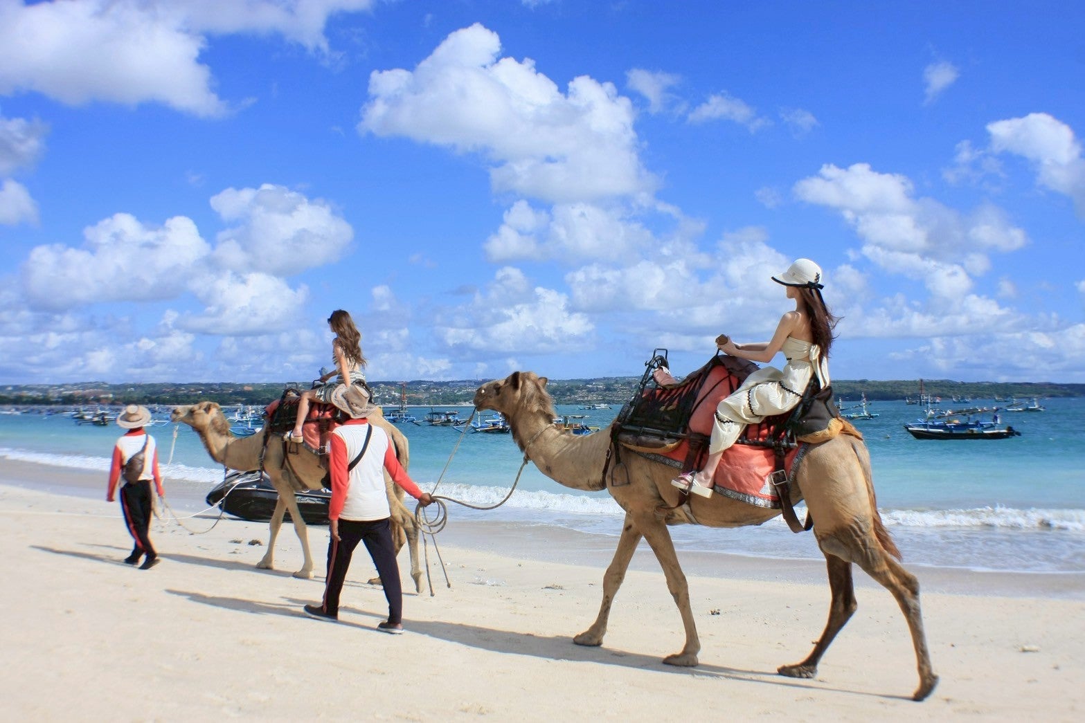 旅行の様子（提供画像）