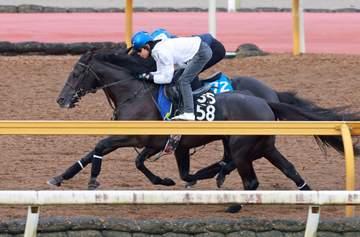 【京都新聞杯】ベレシート 時計控えめでもしっかり先着 北村友「これでもうひとつ動きの質が上がってくれれば」