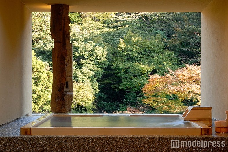 貸切風呂 白鷺／画像提供：箱根水明荘