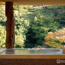 貸切風呂 白鷺/画像提供:箱根水明荘