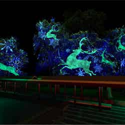 香港ウィンター・フェスタ(提供写真)