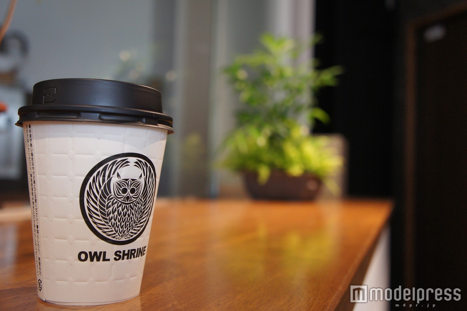 ふくろう神社オリジナルドリンク／画像提供：ナックス