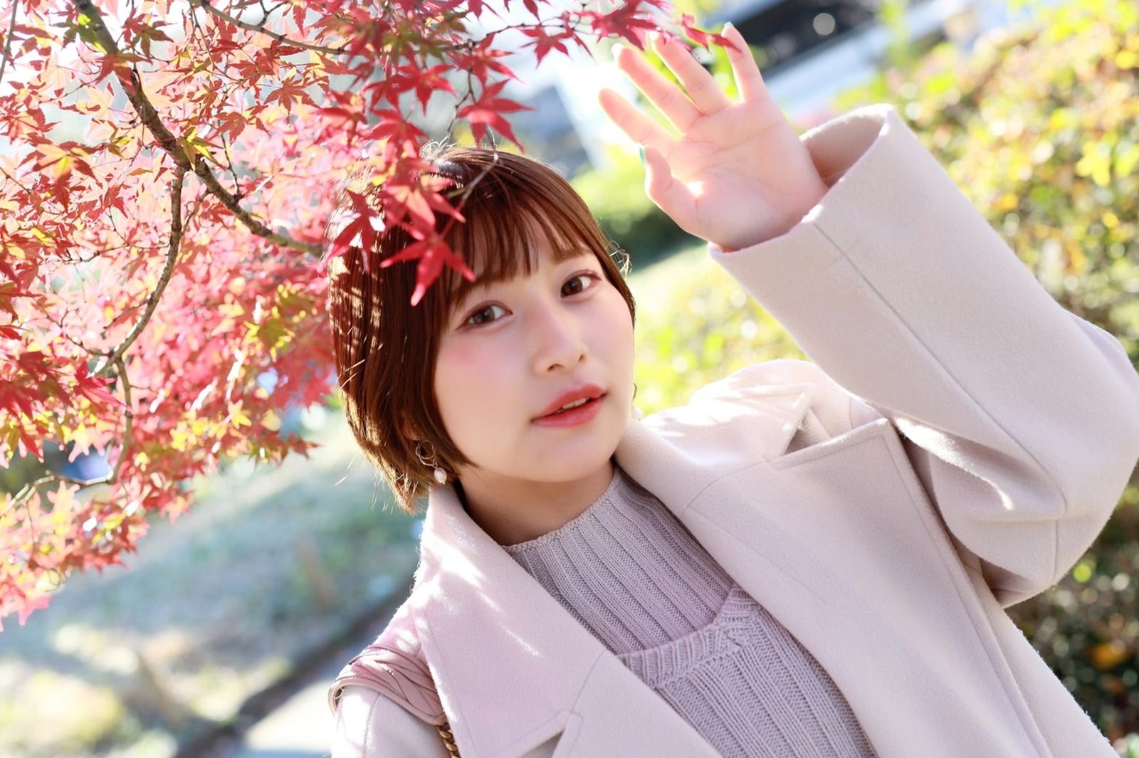 むぎちゃ  （提供画像）