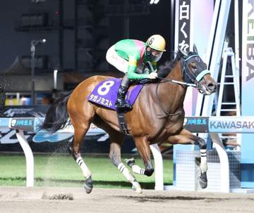【地方競馬】川崎・スパーキングレディーC タガノミストが重賞初V 松山も絶賛「乗るたびに成長している」