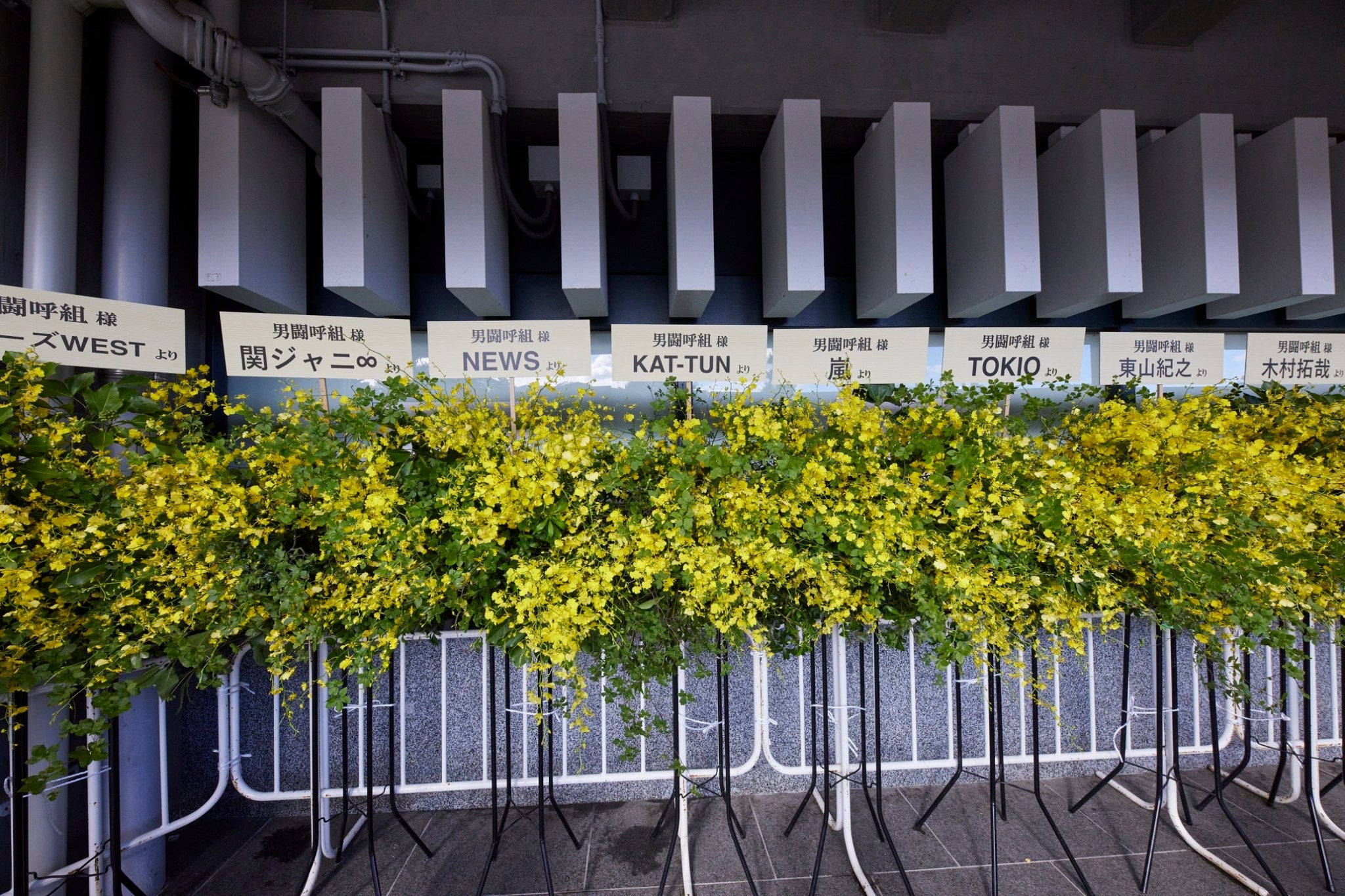 男闘呼組「LASTFOREVER」より（提供写真）