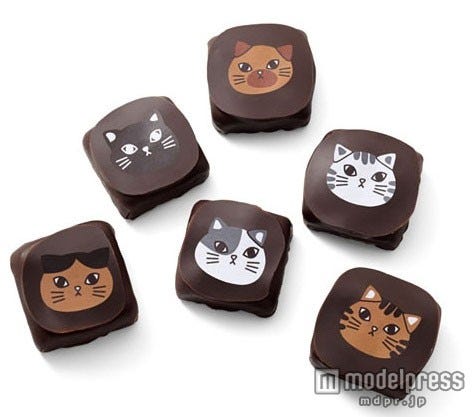 「ショコラティエ ヤン・プロット ねこチョコ」1箱¥2,000(税抜)