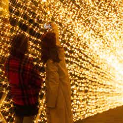 光のトンネル/画像提供:みろくの里