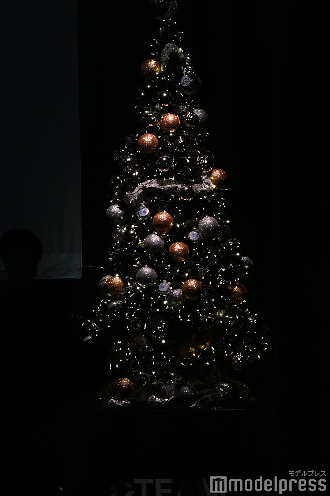 点灯したクリスマスツリー（C）モデルプレス