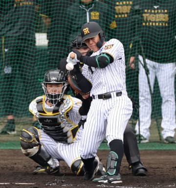 阪神 豊田寛が右手首骨折で帰阪へ 7日のシート打撃で死球受ける 昨季飛躍も無念のアクシデント