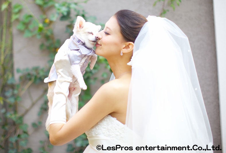 吉川ひなの、妊娠6か月で挙式　本人コメント到着