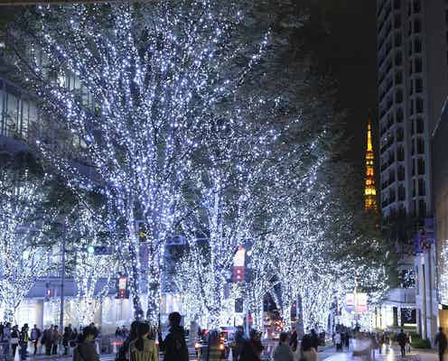 六本木ヒルズのクリスマス「Roppongi Hills Christmas 2019」イルミやマーケットで特別な冬を