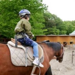 ポケバイ 乗馬 香道 昔 通っていた 変わった習い事 ある モデルプレス ポケバイ 乗馬 香道 昔 通っていた 変わった習い事 ある モデルプレス